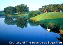 The Reserve at SugarTree