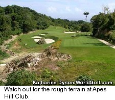 Apes Hill Club Golf Course - Rough Terrain