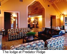 Predator Ridge Lodge