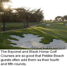Black Horse golf course - hole 14