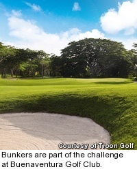 Buenaventura Golf Club - hole 12