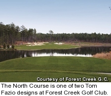 Forest Creek Golf Club - North Course - hole 15