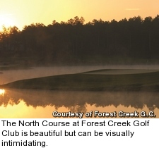 Forest Creek Golf Club - North Course - hole 17