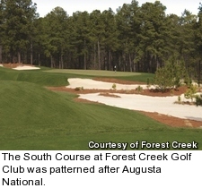 Forest Creek Golf Club - South Course - hole 6