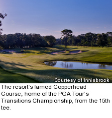 Copperhead Course at Innisbrook - 15th tee