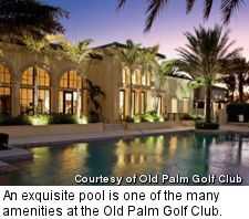 Old Palm Golf Club - pool