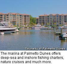 Palmetto Dunes - marina