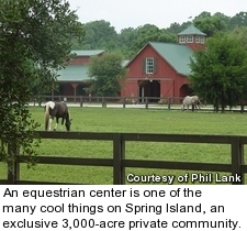 Spring Island - horses