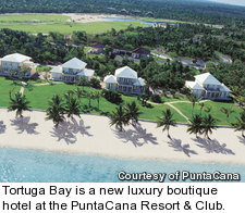 Tortuga Bay at PuntaCana Resort & Club - aerial